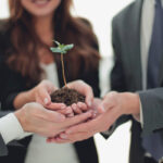 Umweltbewusste Landschaftsgestaltung mit Wurzer Umwelt