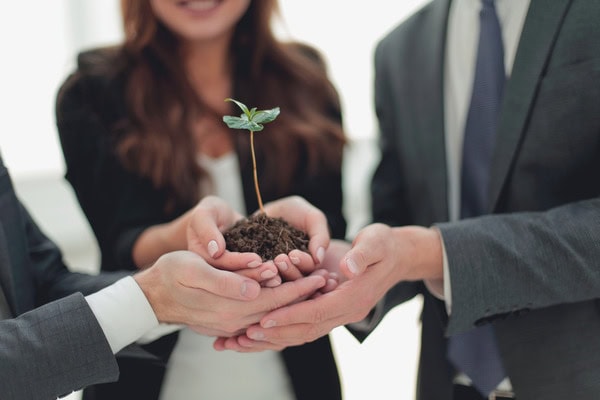 Umweltbewusste Landschaftsgestaltung mit Wurzer Umwelt