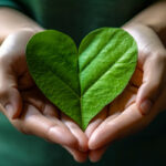 Wurzer Umwelt kennt sich im Gartenbau aus: Expertise für nachhaltige Landschaftsgestaltung