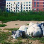 Wurzer Umwelt: Entsorgungsunternehmen als attraktive Arbeitgeber mit vielfältigen Berufsbildern und Karrierechancen